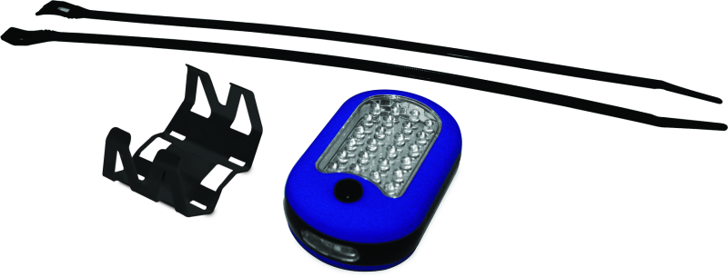DragonFire Racing Lighted Switch LED Dome Light Kit - Blue for Polaris Ranger 400