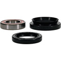 Pivot Works Premium Wheel Bearing Kit for Honda TRX300 Fourtrax and Variants