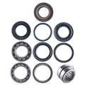 Honda Rear Differential Bearing & Seal Kit Trx 420 Auto Irs