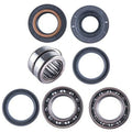 Honda Rear Differential Bearing & Seal Kit TRX420 / 500 / 700