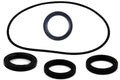 Kawasaki Rear Differential Seal Kit Prairie / Brute Force