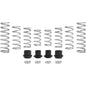 Polaris RZR XP 4 1000 Walker Evans (2017-2023) Stage 2 Spring Kit