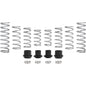 Polaris RZR Pro XP Walker Evans Stage 3 Spring Kit
