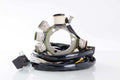 Ricks Motorsport Polaris Stator Part 21-554 for Polaris 400L and Sportsman 400 Models