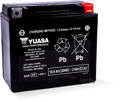 Yuasa YTX20HL Maintenance Free AGM 12-Volt Powersports Battery