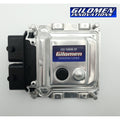 Gilomen Innovations '15+ Bobcat 3400 ECU High Performance Tuning - Gas Models Only