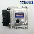 Gilomen Innovations Polaris RZR 200 High Performance ECU Tuning