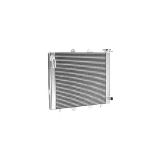 Honda Talon Performance Radiator