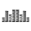 Zbroz Can-Am Maverick X3 Base Model 2.5" Stage 1 Spring Kit