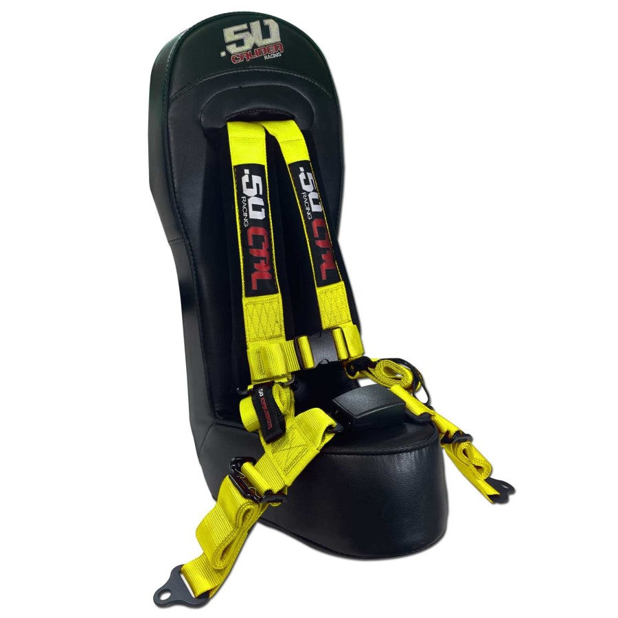 Kawasaki Teryx4 Rear Bump Seat & Safety Harness