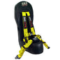 Kawasaki Teryx4 Rear Bump Seat & Safety Harness