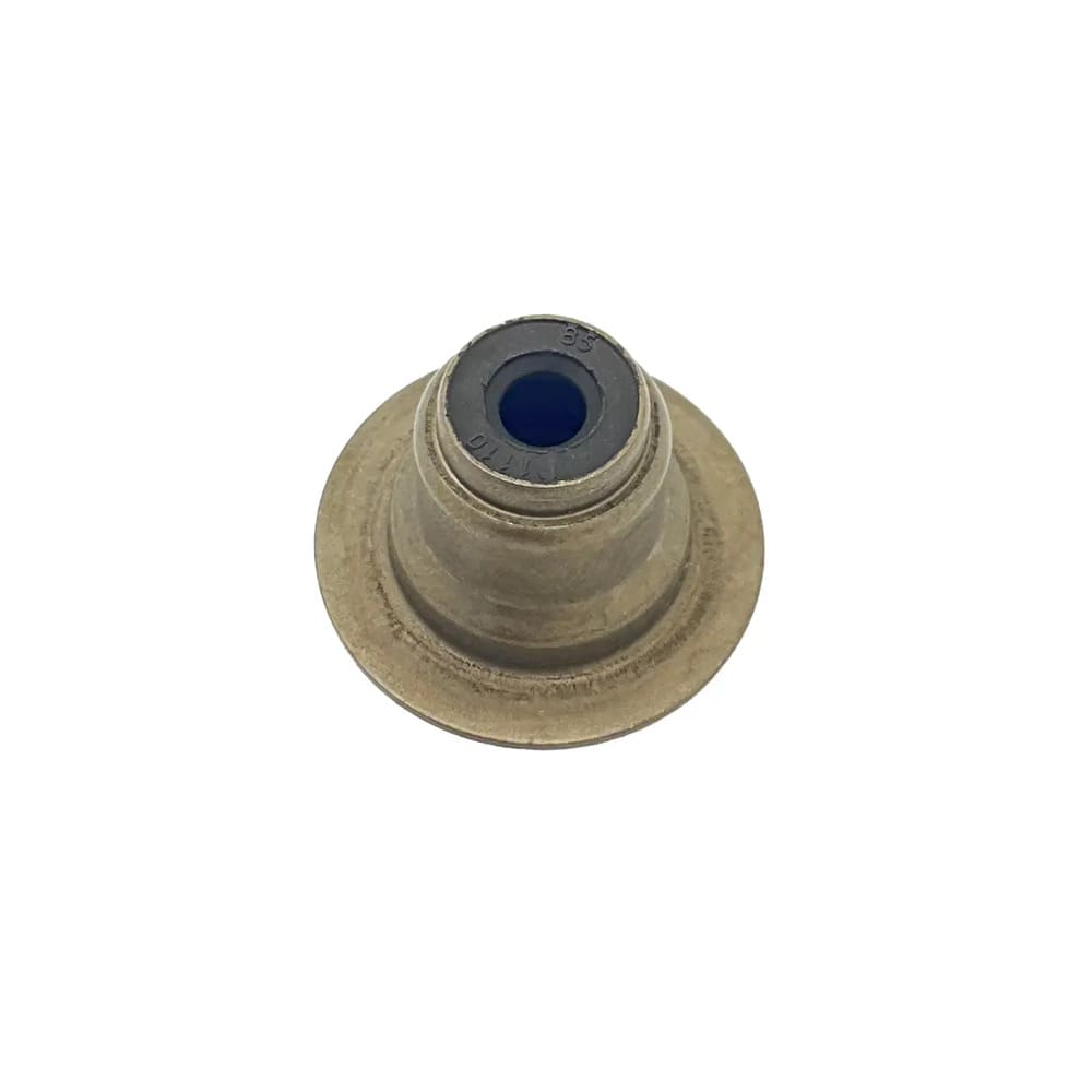Polaris Valve Spring Seat with Seal