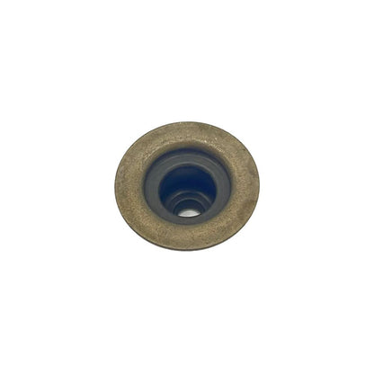 Polaris Valve Spring Seat with Seal