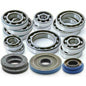 Polaris RZR 900 Transmission Bearing & Seal Kit
