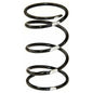 Polaris Driven Clutch Spring | SLP