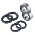 Honda Front Wheel Bearings & Seals Kit Trx 420