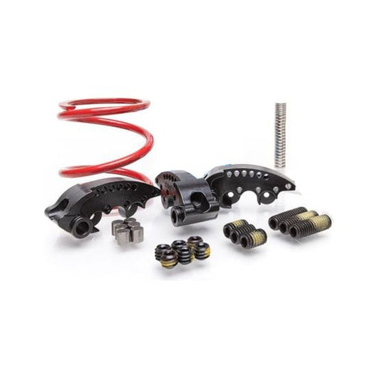 Polaris RZR RS1 / Xpedition Stage 1 SNYPR Clutch Kit