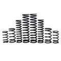 ZBroz '24 Can-Am Maverick R X RS 2ST Stage 1 Spring Kit