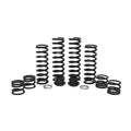 Zbroz Polaris Expedition 5-Seat Fox QS3 Stage 1 Spring Kit