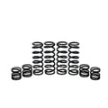 Zbroz Polaris General 1000 Stage 1 W.E. Shock Spring Kit
