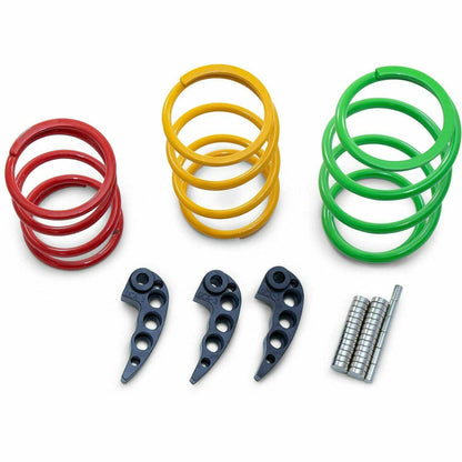 Polaris RZR Turbo (2017-2020) Stage 4 Power Package