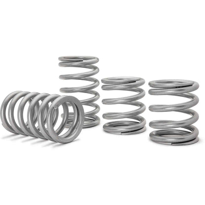 Polaris RZR Pro XP Tender Springs