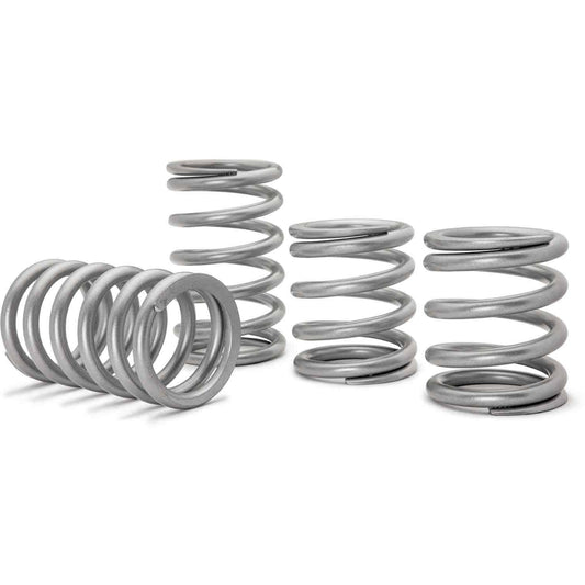 Polaris RZR Pro XP Tender Springs