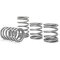 Polaris RZR Pro XP Tender Springs