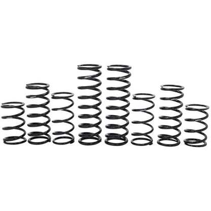 Polaris RZR Turbo R 4 Dynamics Stage 1 Spring Kit