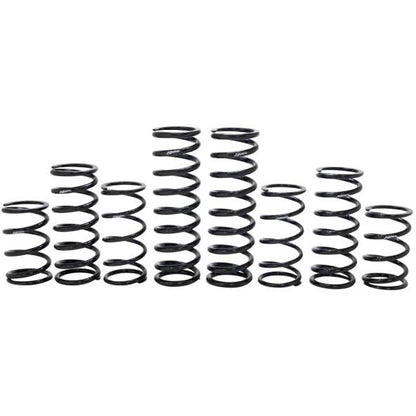 Polaris RZR Turbo R 4 Walker Evans Stage 1 Spring Kit