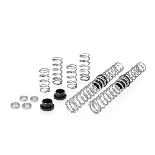 Polaris RZR XP 4 Turbo Walker Evans (2018+) Stage 2 Performance Spring System