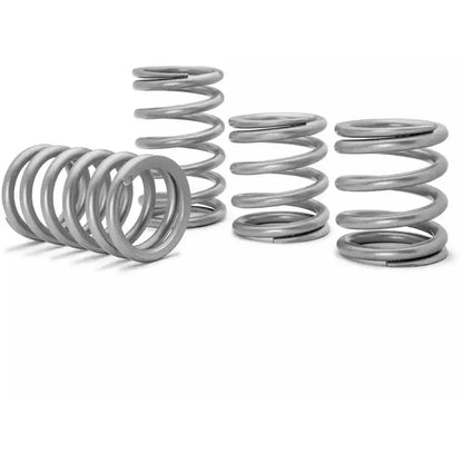 Polaris RZR XP Turbo Tender Springs