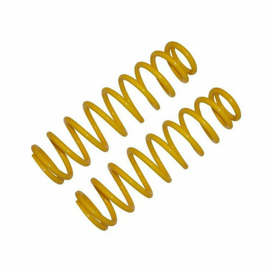 Polaris RZR 800 (2008-2010) Front Coil Springs