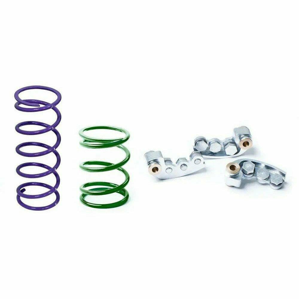 Polaris RZR 900 Clutch Kit