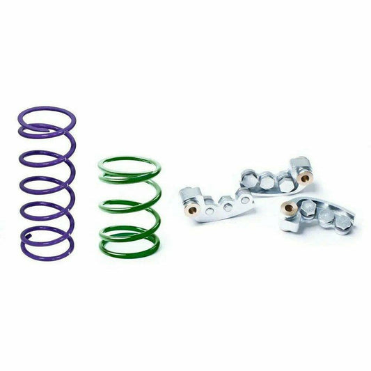 Polaris RZR 900 Clutch Kit