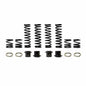 Can Am Commander XT-P Stage 1 Spring Kit