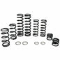 ZBROZ Polaris RZR PRO XP 4 Seater Stage 1 Spring Kit