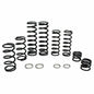 Polaris RZR Turbo S Tender Spring Kit